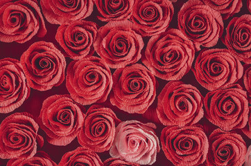 Floral background of many red and pink decorative roses background