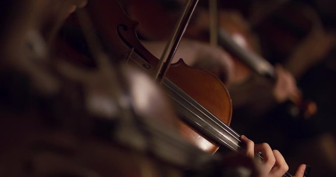 Stock video footage Symphony Orchestra