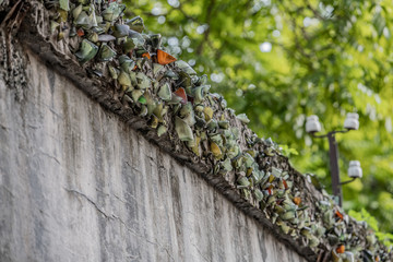 Smashed glass bottles are stuck on the top of a wall to prevent prisoners escaping from the Hanoi Hotel political prison in Vietnam