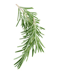 Rosemary