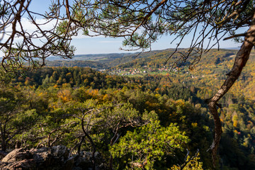 A view of the Vltava river between the branches of trees. Focused on nearby branches, and background where the village and autumn landscape is out of focus.