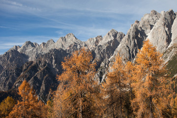 Autumnal view on the Marmarole group in the Dolomites at fall