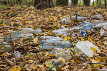 Obraz na płótnie Canvas Plastic bottles and garbage left in autumn forest after picnics. Pollution of nature. Ecological problems concept. 