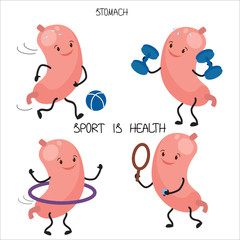 Cute, cartoon human organ, stomach.