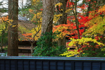 紅葉の角館