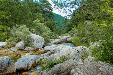 Creek flowing between stones and trees. The stream is located on Mount Olympus on the way to the Holy Cave.