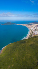 baleia franca free whale ocean oceano mar Eubalaena australis