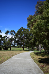 Concrete path in park with lawn either side 