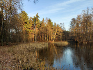 Fototapeta premium Autumn landscape, the river bank surrounded by coniferous and deciduous forest, the tops of the trees are illuminated by the sun. A place for meditation.