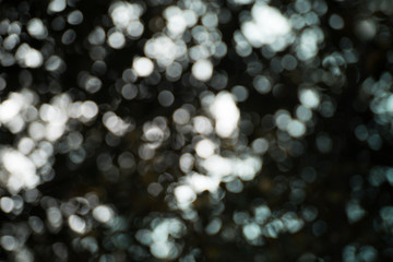 Abstract background white bokeh dispersion on a black background  