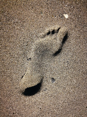 Huellas en la playa