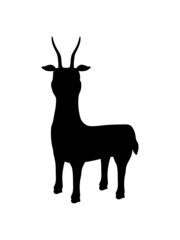 silhouette Antilope Letschwe kind