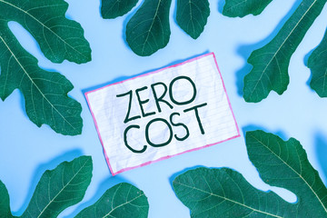 Handwriting text writing Zero Cost. Conceptual photo business decision that does not entail any...