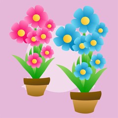 Illustration of Beautiful Pink and Blue Flower, Flat Design