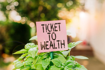 Text sign showing Ticket To Wealth. Business photo showcasing Wheel of fortune Passage to Successful and brighter future Plain empty paper attached to a stick and placed in the green leafy plants