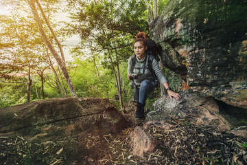 Naklejka na ściany i meble hiker woman climbing up in forest