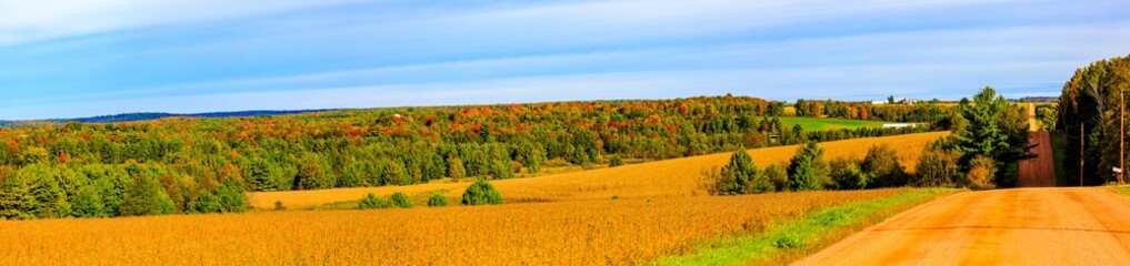 Fototapeta na wymiar Wisconsin country road, farm fields and woodland in September