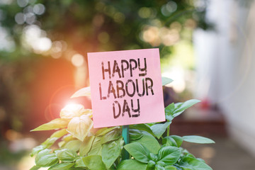 Text sign showing Happy Labour Day. Business photo showcasing annual holiday to celebrate the achievements of workers Plain empty paper attached to a stick and placed in the green leafy plants