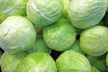 Fototapeta premium Close up stack of fresh green cabbage