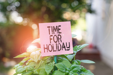 Text sign showing Time For Holiday. Business photo showcasing telling someone that this moment for resting Summer Beach Plain empty paper attached to a stick and placed in the green leafy plants