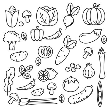 Hand drawn vegetable doodle vector. Set of vegetable vector illustration with cute black line design