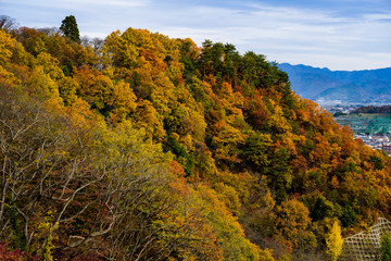 舞鶴山からの眺め