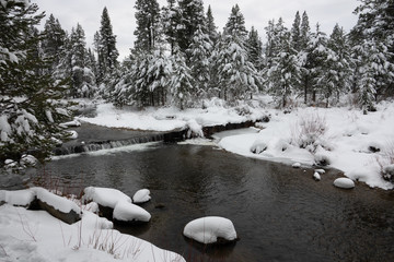Winter Snow on Truckee River at Tahoe Paradise Park