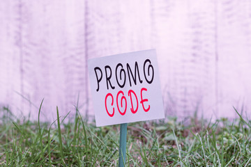Text sign showing Promo Code. Business photo showcasing digital numbers that give you good discount on certain product Plain empty paper attached to a stick and placed in the green grassy land