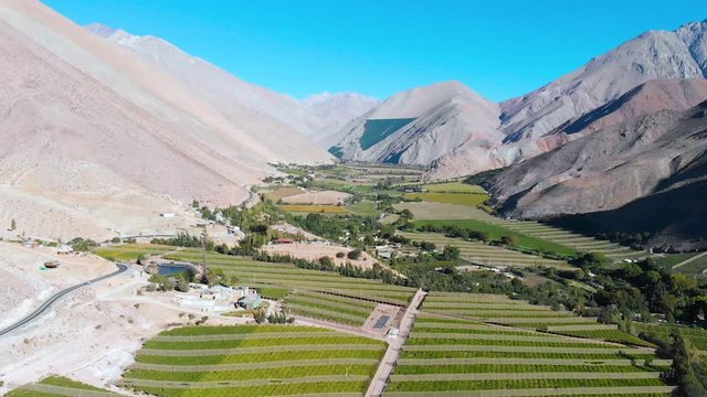 Vineyards plantation Pisco Elqui Valley, commune of Vicuna, Chile, aerial view