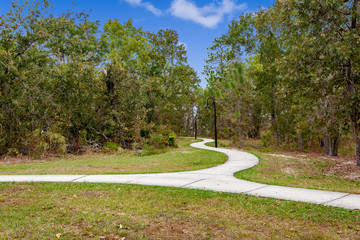 Sidewalk path through the forest
