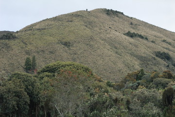 paramo