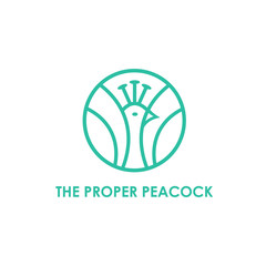 Peacock icon. Bird of paradise. Colorful symbol of feathers. Flat colorful element design. Vector illustration concept. 