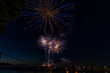 Fireworks light up on a dark sky background in France.