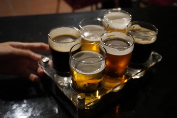 Close up of craft beer tasting flight at local brewery of small pint glasses in a row on a tray with rainbow variety of dark malt stouts to golden yellow hoppy ales on