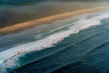Ocean Waves and the Foggy Oregon Coast Forest