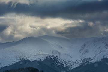 Naklejka na ściany i meble Fogs and clouds in winter Ukrainian Carpathians with snow-covered trees and mountain peaks