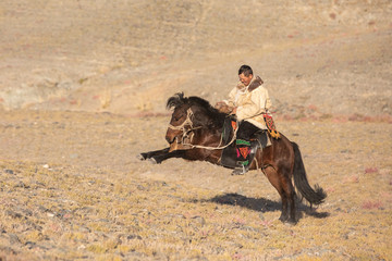 Kazakh eagle hunters partaking in a traditional wrestling match. Two wrestlers on horseback start pulling on a sheep skin, the one who retrieves it, is the winner. Ulgii, Mongolia.