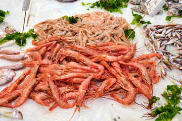 Fresh shrimps for sale a market in Naples, Italy