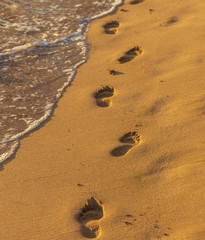 Footprints in the Sand