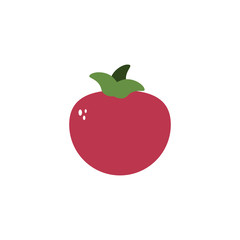 vegetable tomato flat style icon