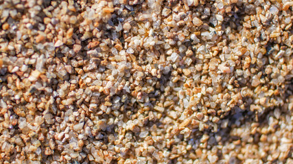 footprints in the sand close up