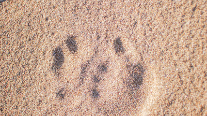 footprints in the sand close up