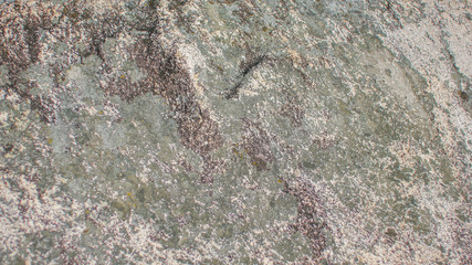 the surface of the stone texture closeup