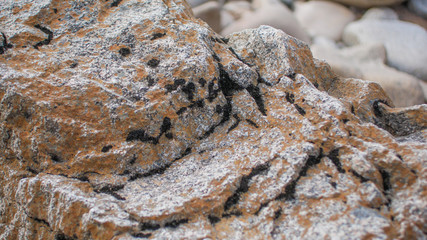 the surface of the rock closeup