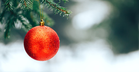 Red christmas ball hanging on branch on sruce tree outdoor, snow, winter, with decorations.