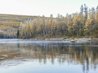 Fototapeta premium trees and frost on the river Bank in autumn