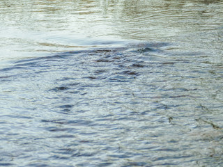 smooth water on the autumn river
