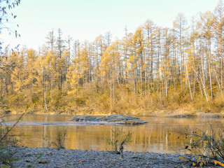 Rock in the middle of the river on the background of autumn forest