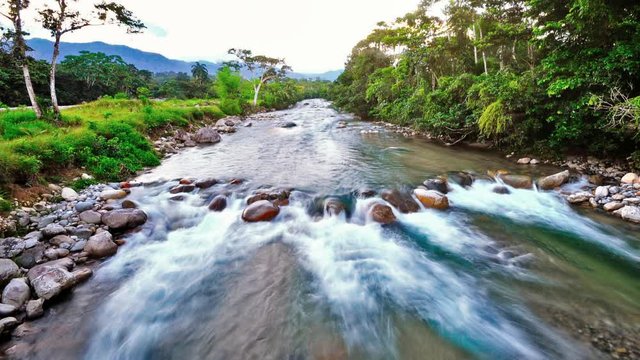 Amazon jungle, tena city, ecuador, puyo