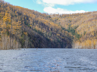 mountains covered with autumn forest and a wide river